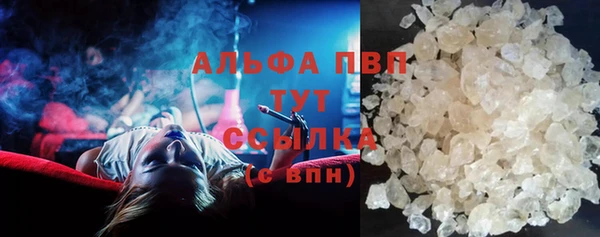 СК Новозыбков
