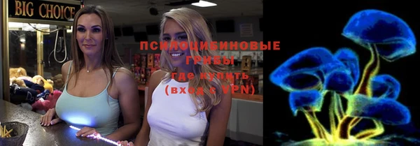 винт Няндома