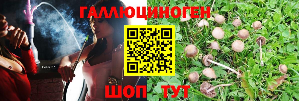 Галлюциногенные грибы Magic Shrooms Лосино-Петровский
