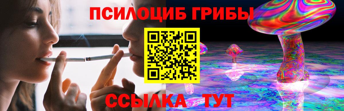 Псилоцибиновые грибы Psilocybe  Вход с VPN  Лосино-Петровский  Псилоцибиновые грибы Psilocybe 